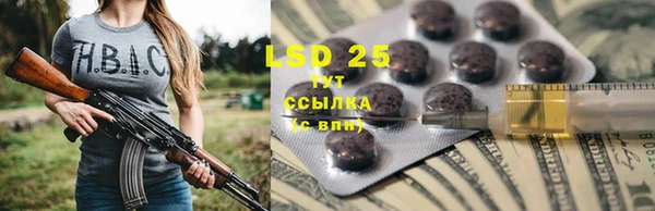 ПСИЛОЦИБИНОВЫЕ ГРИБЫ Армянск