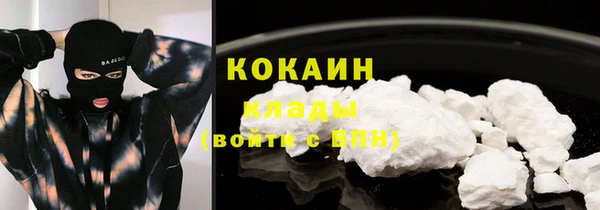 амф Арсеньев