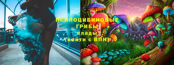 ешки Аркадак