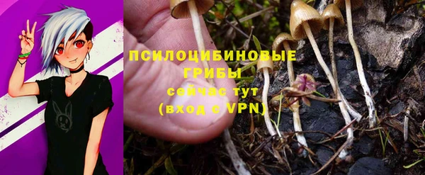 ешки Аркадак