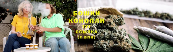 ешки Аркадак